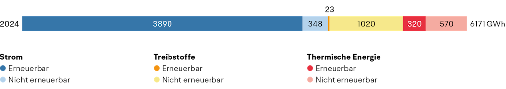 Energie- und Klimabericht 2024 - Endenergieverbrauch nach Energieträger