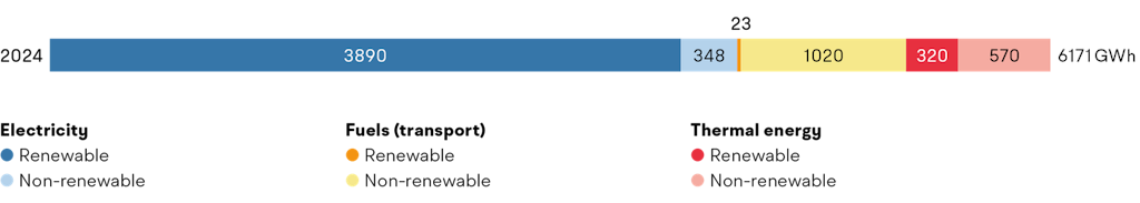 Energy and Climate Report 2024 - Final energy consumption by type of energy source