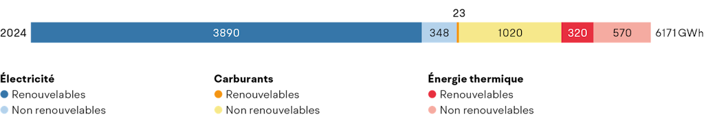 Rapport Énergie et Climat 2024 - Consommation d’énergie finale par sources d’énergie