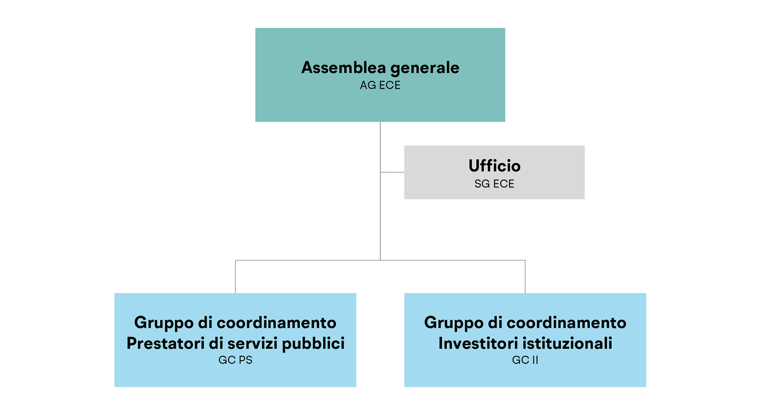 L'immagine mostra l'organigramma d’ECE.